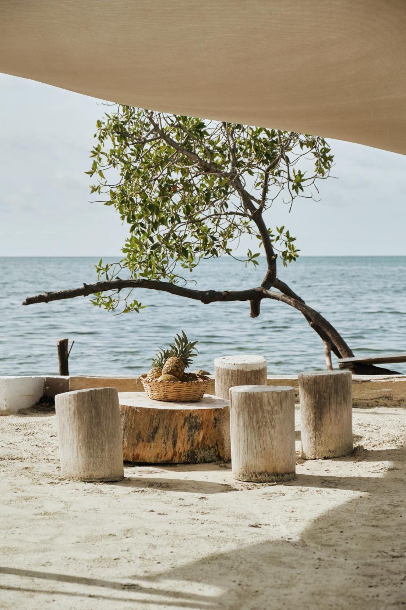 El Embrujo Tintipan Hotel Tintipan Island Екстериор снимка